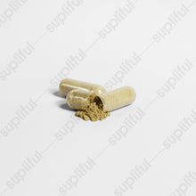 Load image into Gallery viewer, GINKGO BILOBA + GINSENG - BvBvoTwu SuperMarket