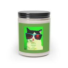 Load image into Gallery viewer, PROUD VEGAN CAT PARENT &quot;Cinnamon Stick&quot; Scented Candle, 9ozCinnamon Stick / One size Home Decor Printify - BV BVO TWU Supermarket
