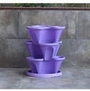 Load image into Gallery viewer, Urban Farming Pots!Purple (Ordinary) 21st CENTURY URBAN VEGAN FARMING BV BVO TWU Supermarket - BV BVO TWU Supermarket
